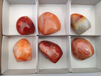 Polished Carnelian Standing Free Forms x 6 From Madagascar