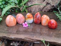 Polished Carnelian Standing Free Forms x 6 From Madagascar