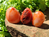 Polished Carnelian Standing Free Forms x 6 From Madagascar