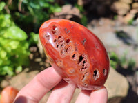 Polished Carnelian Standing Free Forms x 6 From Madagascar