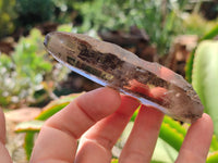 Natural Smokey Quartz Crystals x 12 From Zomba, Malawi