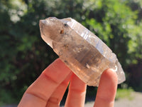 Natural Smokey Quartz Crystals x 12 From Zomba, Malawi