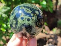 Polished Stromatolite Spheres x 3 From Madagascar