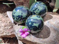 Polished Stromatolite Spheres x 3 From Madagascar