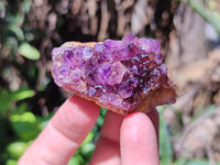 Natural Amethystos Amethyst Clusters x 20 From Kwaggafontein, South Africa