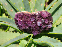 Natural Amethystos Amethyst Clusters x 20 From Kwaggafontein, South Africa