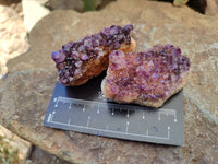 Natural Amethystos Amethyst Clusters x 20 From Kwaggafontein, South Africa