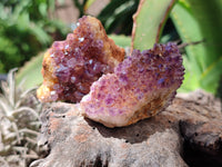 Natural Amethystos Amethyst Clusters x 20 From Kwaggafontein, South Africa