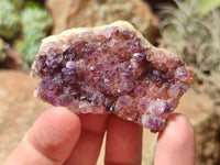 Natural Amethystos Amethyst Clusters x 20 From Kwaggafontein, South Africa