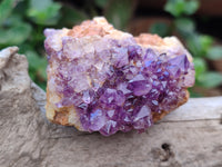 Natural Amethystos Amethyst Clusters x 20 From Kwaggafontein, South Africa