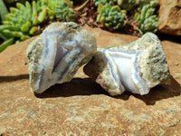 Natural Blue Lace Agate Geode Specimens x 24 From Malawi