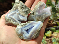 Natural Blue Lace Agate Geode Specimens x 24 From Malawi