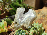 Natural Blue Lace Agate Geode Specimens x 24 From Malawi