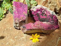 Natural Salrose Cobaltion Dolomite Specimens x 3 From Congo