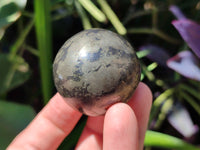 Polished Pharaoh Stone Spheres x 4 From Zimbabwe