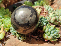 Polished Pharaoh Stone Spheres x 4 From Zimbabwe