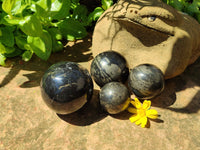 Polished Pharaoh Stone Spheres x 4 From Zimbabwe