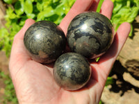 Polished Pharaoh Stone Spheres x 4 From Zimbabwe