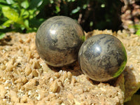 Polished Pharaoh Stone Spheres x 4 From Zimbabwe