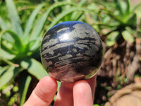 Polished Pharaoh Stone Spheres x 4 From Zimbabwe