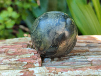 Polished Pharaoh Stone Spheres x 4 From Zimbabwe