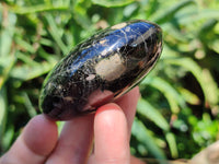 Polished Black Tourmaline Palm Stones x 12 From Madagascar