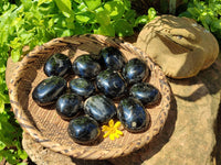 Polished Black Tourmaline Palm Stones x 12 From Madagascar