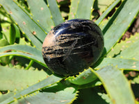 Polished Black Tourmaline Palm Stones x 12 From Madagascar