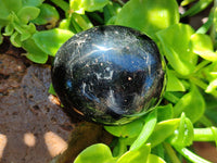 Polished Black Tourmaline Palm Stones x 12 From Madagascar