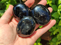 Polished Black Tourmaline Palm Stones x 12 From Madagascar