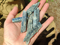 Natural Kyanite Crystal Specimens x 77 From Zimbabwe