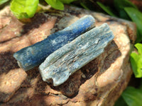 Natural Kyanite Crystal Specimens x 77 From Zimbabwe