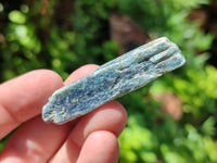 Natural Kyanite Crystal Specimens x 77 From Zimbabwe