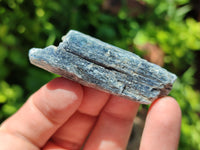 Natural Kyanite Crystal Specimens x 77 From Zimbabwe