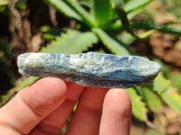 Natural Kyanite Crystal Specimens x 77 From Zimbabwe