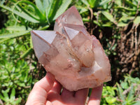 Natural Red Hematoid Quartz Clusters x 2 From Karoi, Zimbabwe