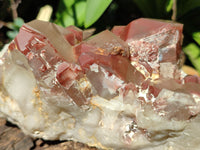 Natural Red Hematoid Quartz Clusters x 2 From Karoi, Zimbabwe