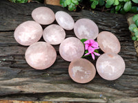 Polished Rose Quartz Palm Stones x 12 From Madagascar