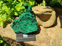 Natural Silky Malachite Specimens x 2 From Kasompe, Congo