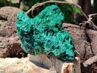 Natural Silky Malachite Specimens x 2 From Kasompe, Congo