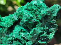 Natural Silky Malachite Specimens x 2 From Kasompe, Congo