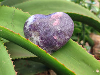 Polished Lepidolite with Pink Rubellite Gemstone Hearts x 6 From Madagascar