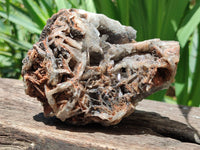 Natural Bladed Barite Specimens x 2 From Congo