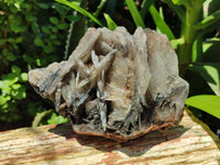 Natural Bladed Barite Specimens x 2 From Congo