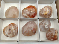 Polished Flower Agate Gemstone Hearts x 7 From Madagascar