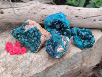 Natural Dioptase On Dolomite Specimens x 4 From Likasi, Congo