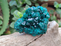 Natural Dioptase On Dolomite Specimens x 4 From Likasi, Congo