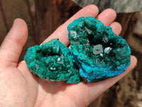 Natural Dioptase On Dolomite Specimens x 4 From Likasi, Congo