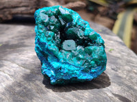 Natural Dioptase On Dolomite Specimens x 4 From Likasi, Congo