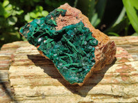 Natural Dioptase On Dolomite Specimens x 4 From Likasi, Congo